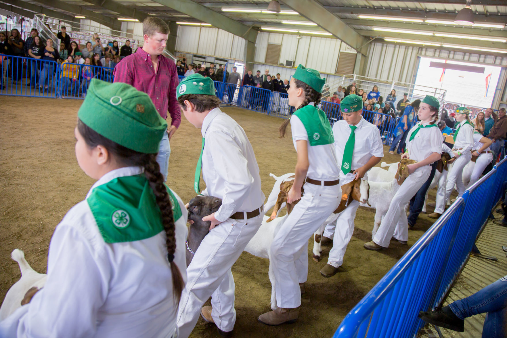 070919 SB Fair Animal Judging 11.jpg